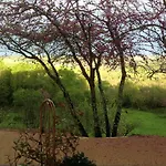 Manoir Saint-louis Bed & Breakfast Bouglon