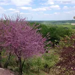 Bed & Breakfast Manoir Saint-louis Bouglon
