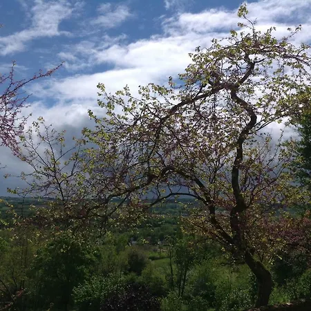 Manoir Saint-louis Bouglon