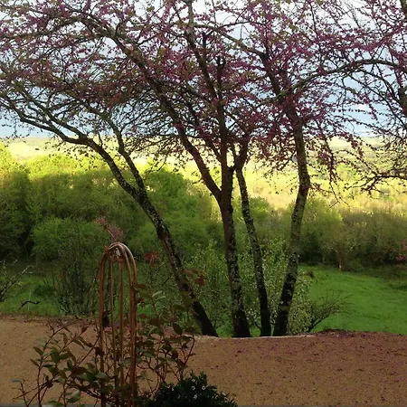 Manoir Saint-louis Bed & Breakfast Bouglon