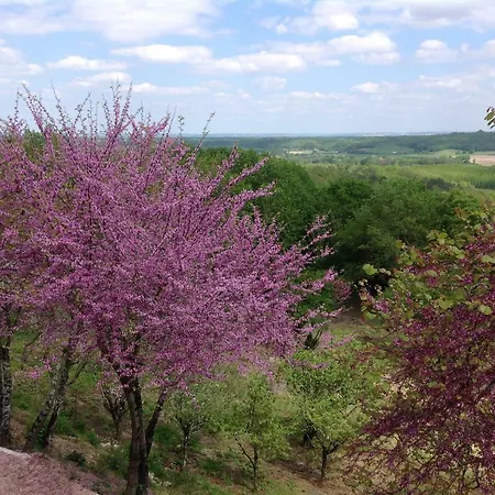Bed & Breakfast Manoir Saint-louis Bouglon