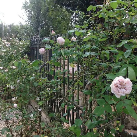 Manoir Saint-louis Bed & Breakfast