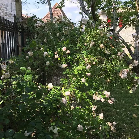 Manoir Saint-louis 4* Bouglon