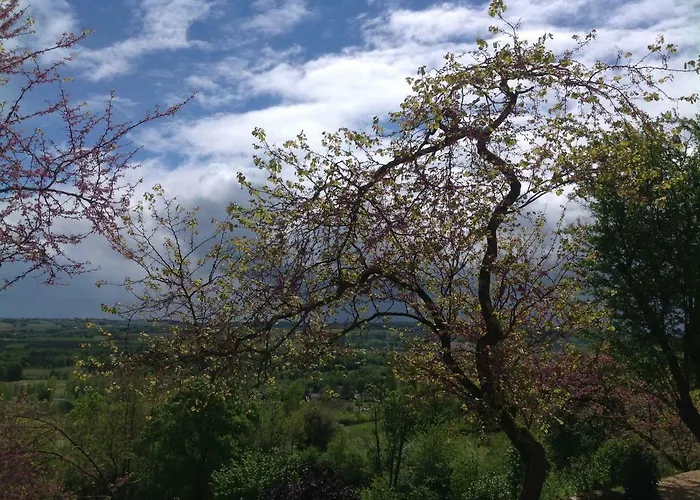 Manoir Saint-louis Bouglon