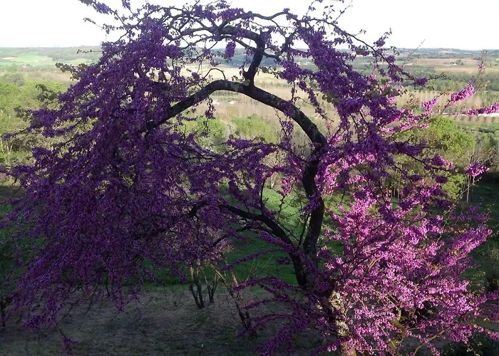 Manoir Saint-louis 4* Bouglon