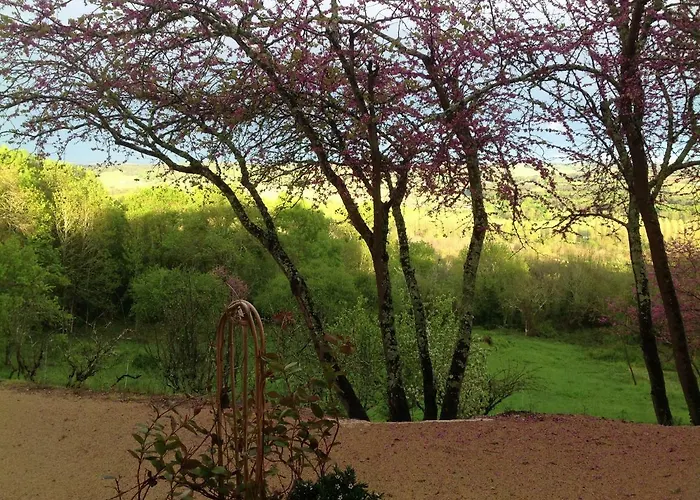 Manoir Saint-louis Bed & Breakfast Bouglon