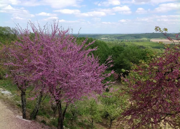 Bed & Breakfast Manoir Saint-louis Bouglon