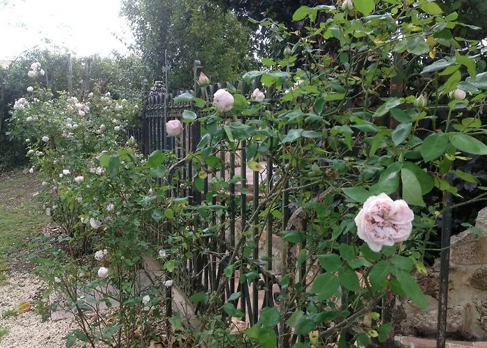 Manoir Saint-louis Bed & Breakfast