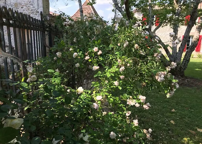 Manoir Saint-louis 4* Bouglon